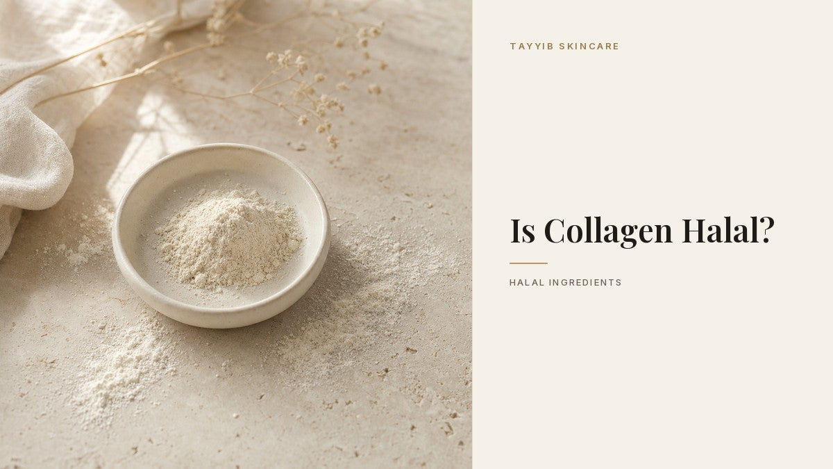 Is Collagen Halal? - Tayyib Skincare