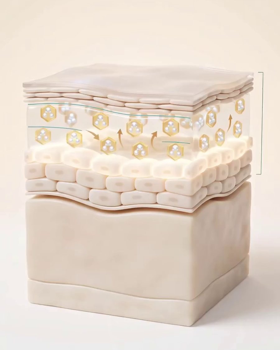 Clinical model of honey molecules holding water within the skin's layers