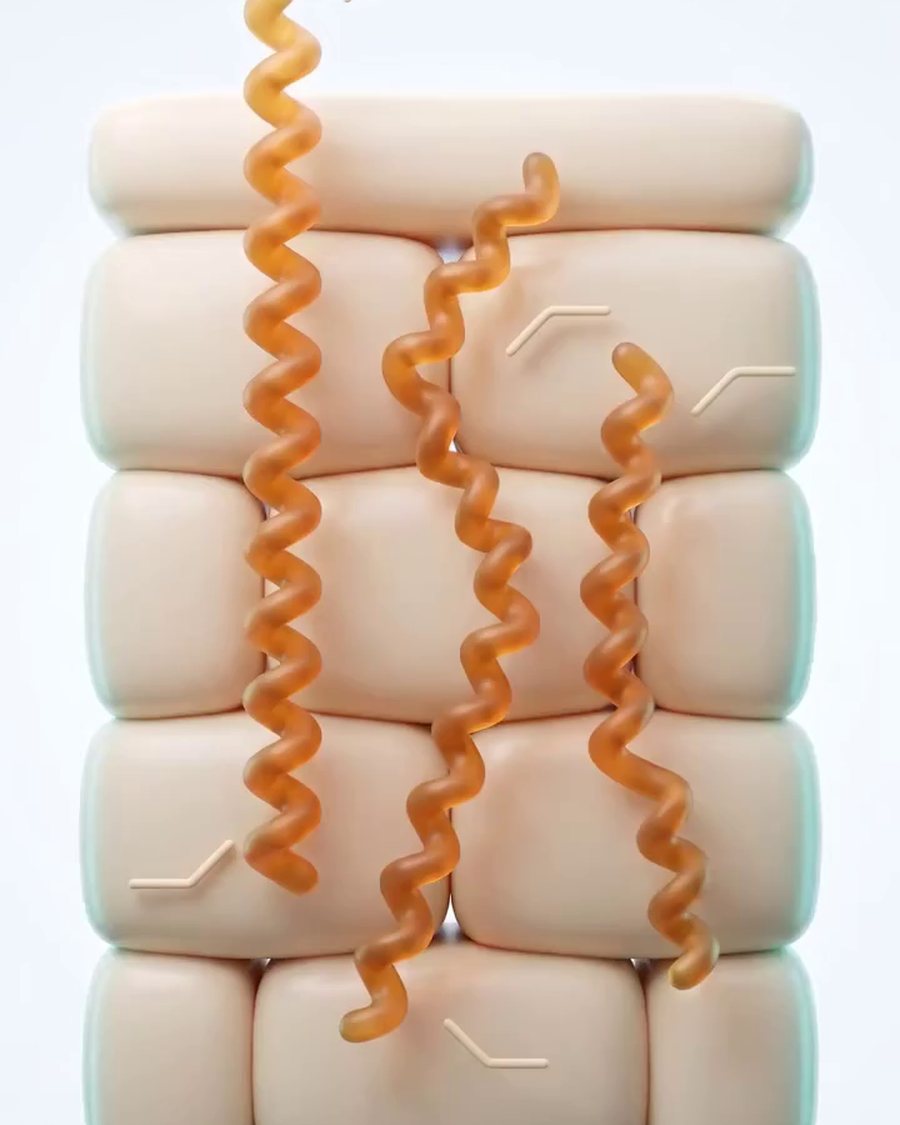 Fatty acid chains woven between skin cells like mortar between bricks